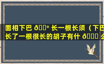 面相下巴 💮 长一根长须（下巴长了一根很长的胡子有什 🐈 么说法吗）